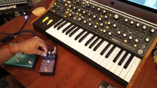 Video thumbnail for Rabbit Hole FX Phaser by Modular Landing