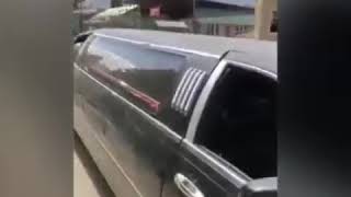 Овцы лемузине короткий прикол
