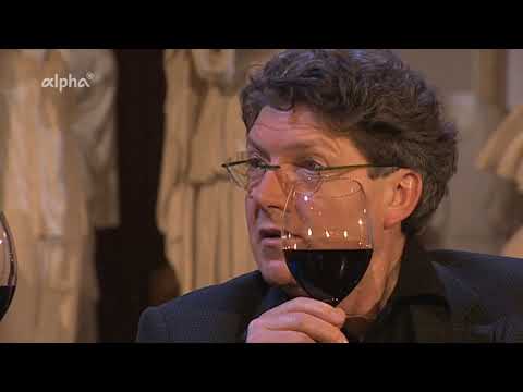 Denker des Abendlandes 3.10 Fichte und Schelling (33/43)