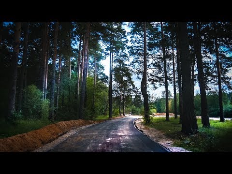 Благоустройство лесной опушки в мкр. Правдинск