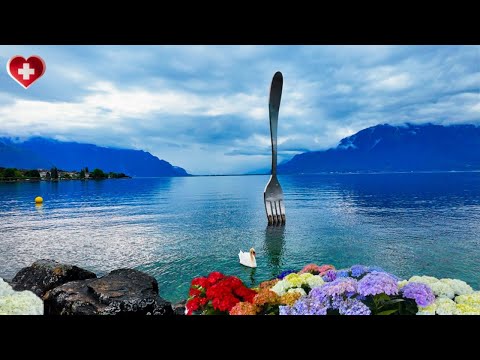 A Calm Day in Vevey – Gentle Walk Along the Lake with Swans & the Alps[4K]