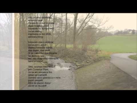 Vino-n orice dimineata - Nicolae Moldoveanu