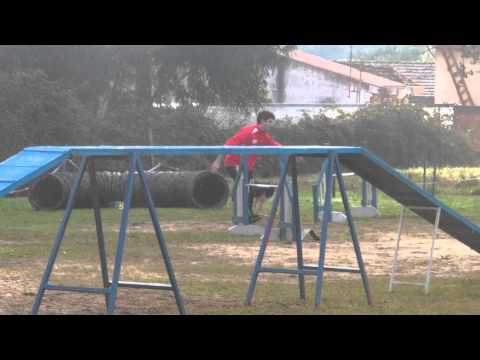 Trailers Pedro e Nina