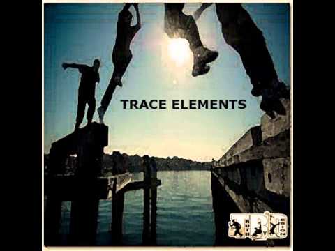 Truth By Design - Trace Elements (2010)