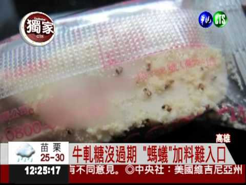 還沒拆封... 牛軋糖驚見螞蟻窩