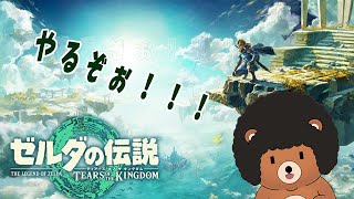 ゼルダ最新作やるぞおおおおおおおお！！【ティアキン】