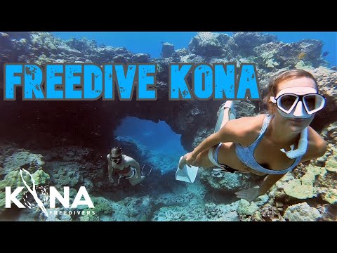 Best Freediving in Hawai'i - Sea Turtles, Dolphins, & Manta Rays | Kona Freedivers