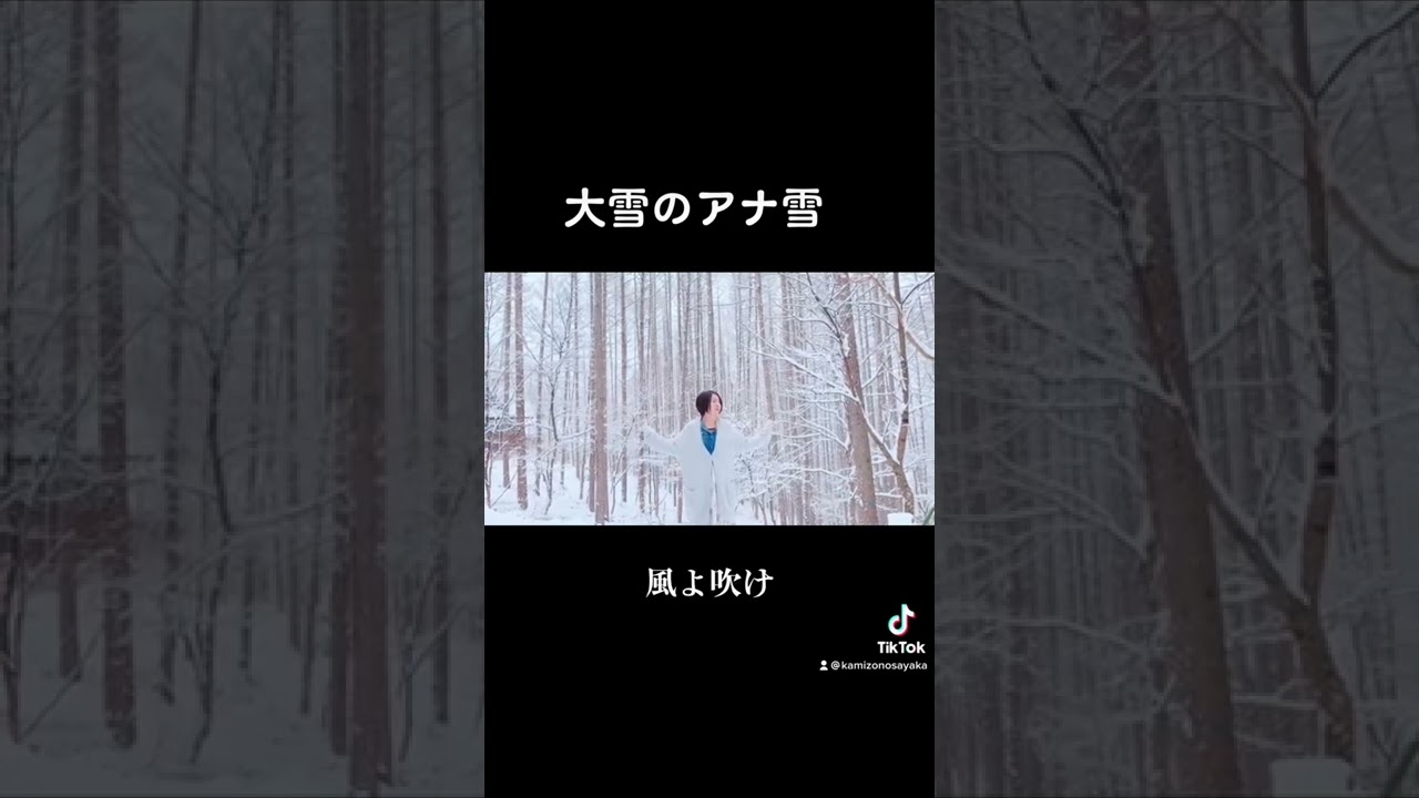 カバー曲まとめ ディズニー Let It Go 神園さやか