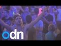 Dead Sea rave: Thousands rave for TWELVE ...