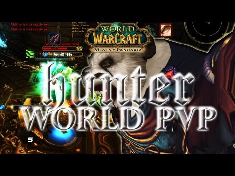 Level 90 Hunter PVP - World PVP Honor Farm in Tichondrius - World of Warcraft: Mists of Pandaria Patch 5.1