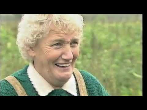 Anglia TV news coverage of WLA reunion at Gressenhall Farm and Workhouse, c.1988.