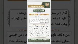 5762 -   معنى الحياء - نور على الدرب image