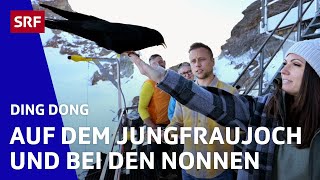 Auf dem Jungfraujoch und bei den Nonnen | Ding Dong - Zeig mir dein Zuhause | SR