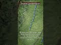 English Longbowman Tactic Shorts Fyp Tactical Documentary Military War Medieval History