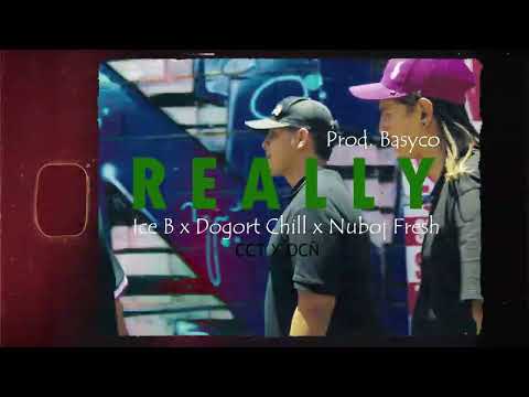 REALLY - Nuboj Fresh x @IceB24  x @dogortchill420 / Prod. @Basyco24 (Visualizer)