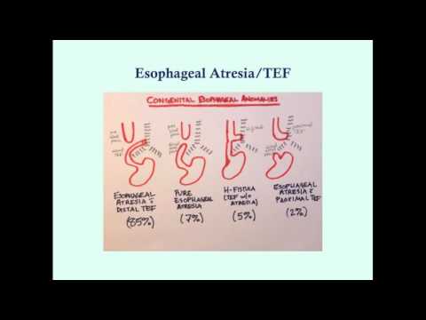 Newborn Gastrointestinal Disorders (Part 1) - CRASH! Medical Review Series