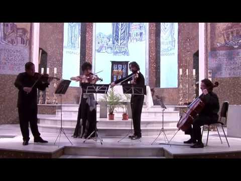 8. J. Haydn. Sonata 7. Cuarteto Assai. Assai String Quartet