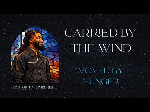 Moved By Hunger | Tim Timberlake | Celebration Everywhere