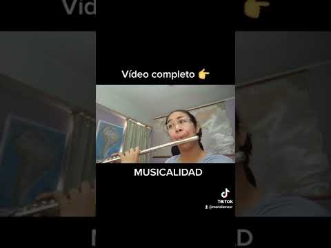 Musicalidad e interpretación en la flauta traversa