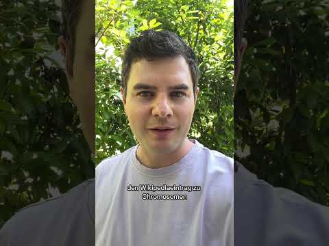 Vorschlag zur Güte #22