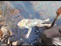 Hallan el cuerpo de una extraña criatura en en Paraguay