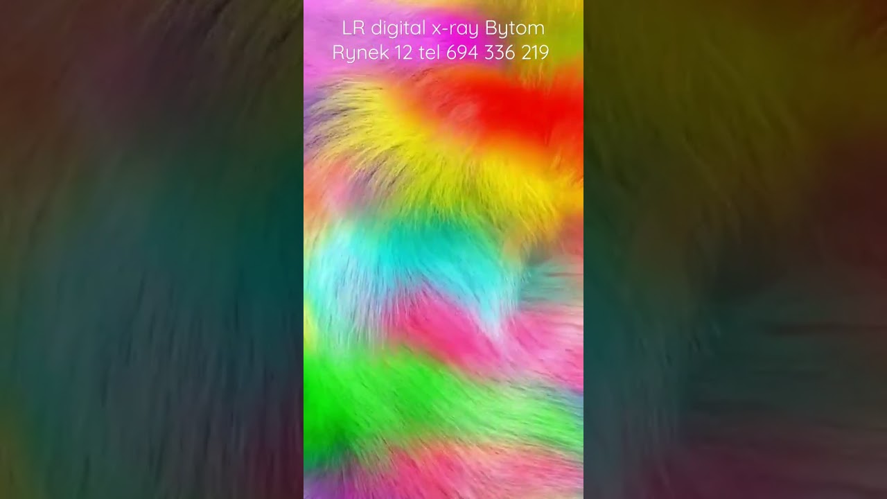 Barbara Boczarowska-Jarek-52