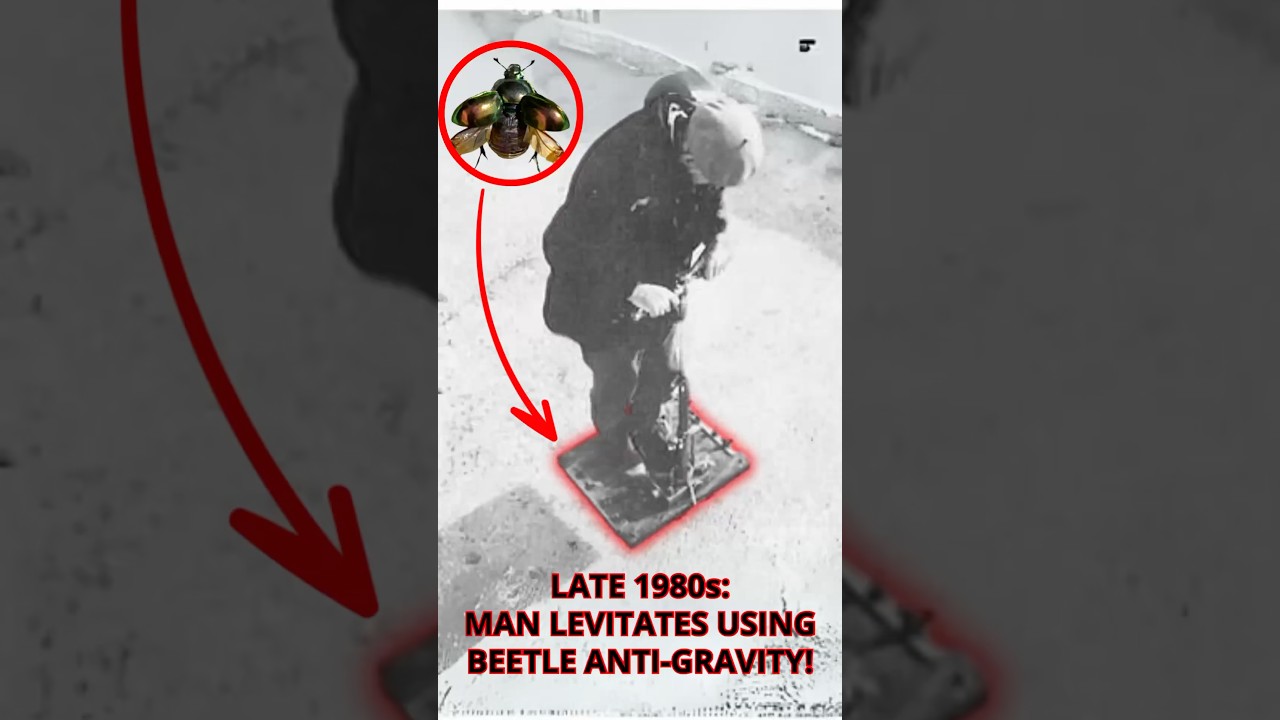 Did Beetles Help Uncover Anti-Gravity?