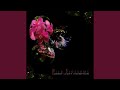 Airspin (Wild Blossoms Mix)