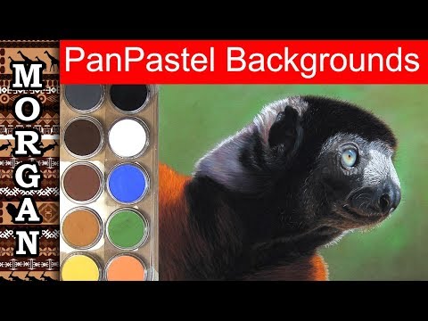 PanPastel tutorial blurry backgrounds - wildlife art - Jason Morgan