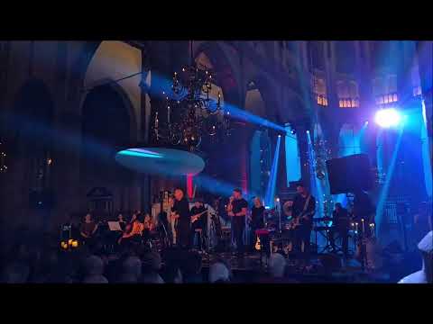 Mr. Pink -  Shine on you crazy diamond - Rotterdam (NL) - 2025