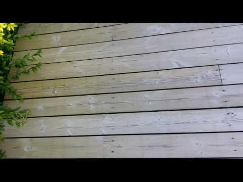 Sioo Träskydd och Ytskydd: Resultatet efter 50 dagar (2016-07-24)