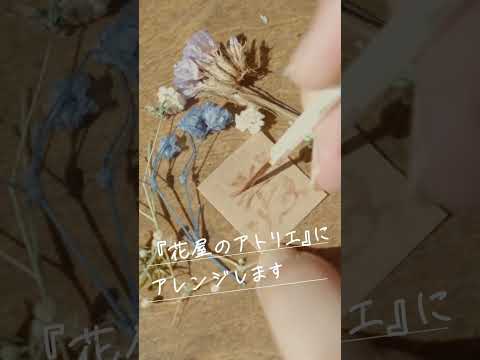 ハンス・ドミニク (作家)について詳しく解説