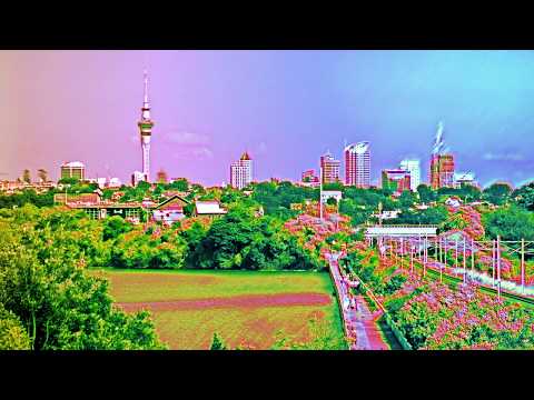 Auckland – Orakei Basin, Rangitoto, February 10, 2019