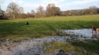 preview picture of video 'Muddy fields and puddles'