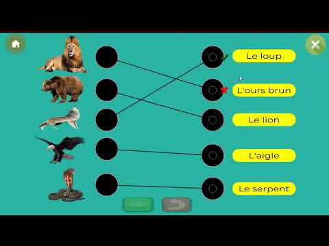 Les animaux sauvages et les animaux domestiques Video