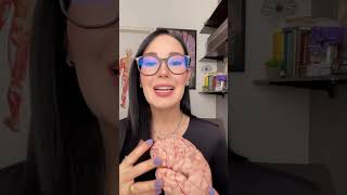 Aprender novos idiomas protege o cérebro de várias formas! #brain #neuroanatomia #neurociência
