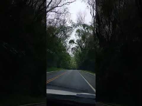 Ibicaré a capital catarinense do rodeio.