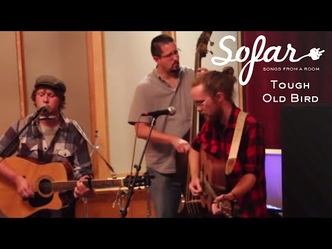Tough Old Bird - Gambling Days | Sofar Buffalo