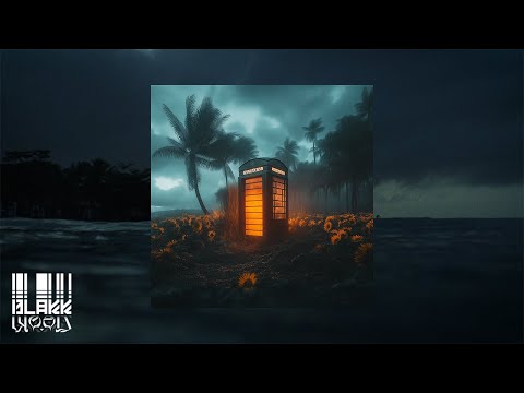 Renne Dang - nezavoláš on Spotify Charts
