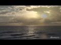 "Waves of Fulfilling" from the album Healing Waters - Nature footage from the DVD "4 Earth"