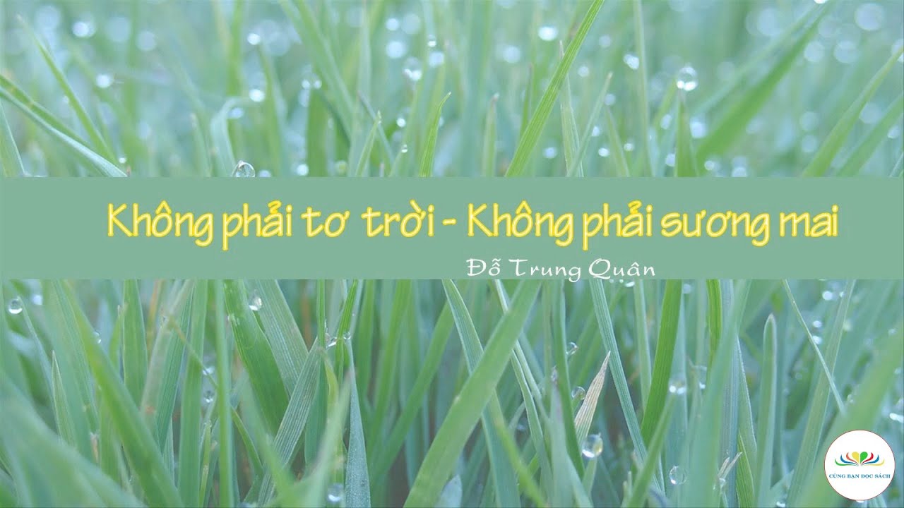 Không phải tơ trời, không phải sương mai