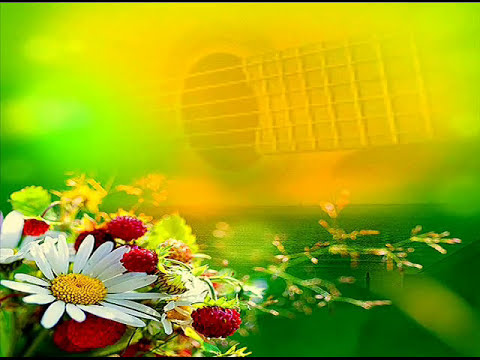 BACKING TRACK-ALBATROS-THE SHADOWS