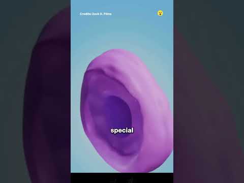 Ce se întâmplă când un câine militar își rupe un dinte? #romania    #facts    #curiosidades    #fyp