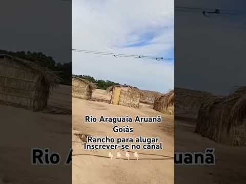 Rio Araguaia Aruanã Goiás #youtubeshorts #pescaria #acampamento #acampar #praia #shorts #ferias
