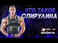 Что такое СПИРУЛИНА. Спирулина в спорте.