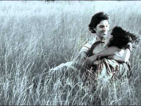 Fredfox - Quero Estar Contigo