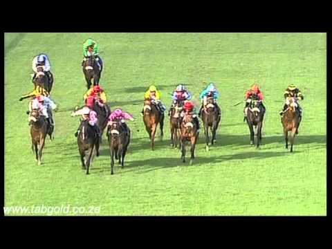 20160207 Scottsville Race 8 won by MODERNISTA