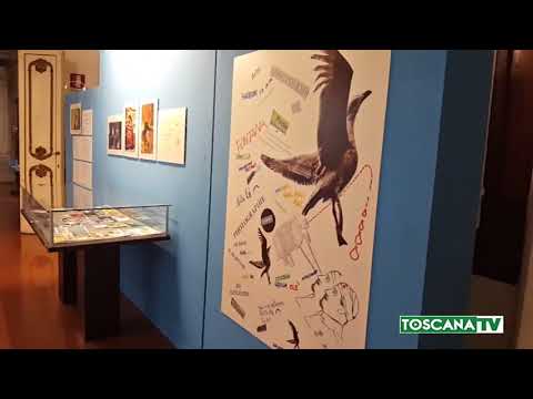 2018-01-06 FIRENZE - FRANCO FONTANA IN MOSTRA A PALAZZO PANCIATICHI