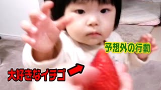 娘にイチゴをみせたら凄い行動がみれました