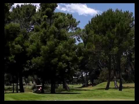 8 febrero 2012: Tenis - Arte - Golf